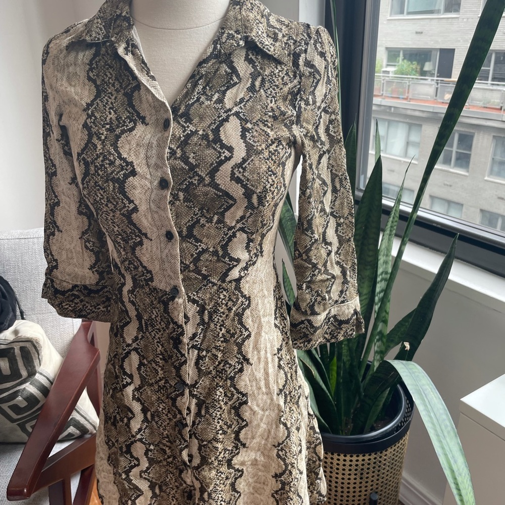 Mini Zara Snake Print Dress - Small